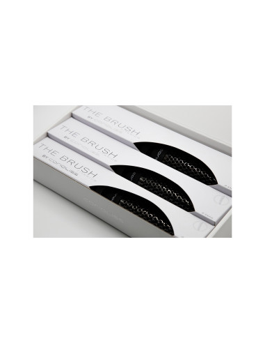 THE BRUSH TITANIUM KIT 3 CEPILLOS CORIOLISS