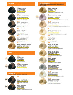 CARTA DE COLOR COMPAGNIA DEL COLORE 2