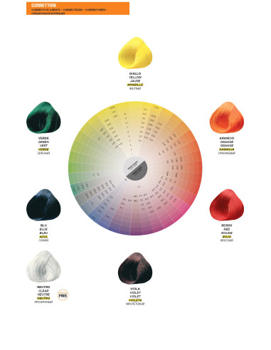 CARTA DE COLOR COMPAGNIA DEL COLORE