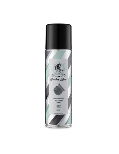 OIL FRESH SPRAY 500 ML 06272 RAGNAR