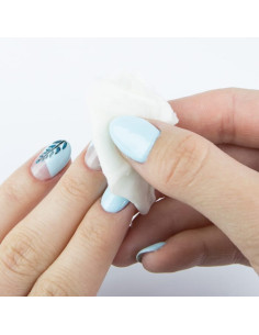 CLEANER MOLLY LAC 100ML ML05001 2