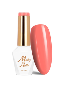CELEBRITY Nº520 ML01520