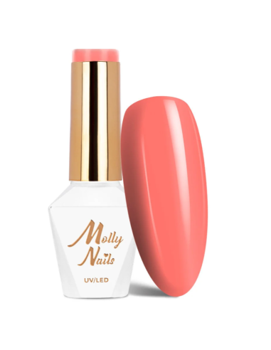 CELEBRITY Nº520 ML01520