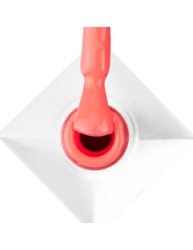 CELEBRITY Nº520 ML01520