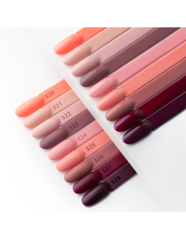 CELEBRITY Nº520 ML01520