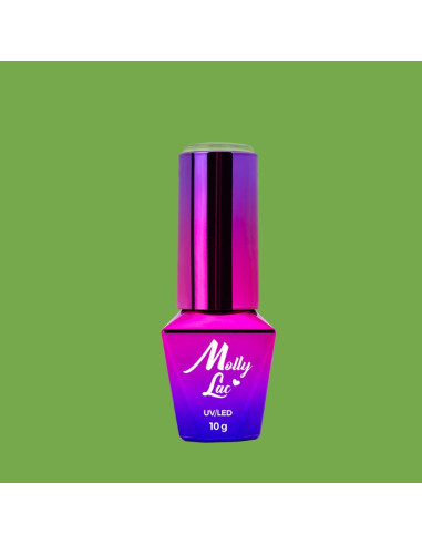 KIWI CRUSH Nº117 ML01117