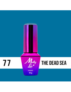 THE DEAD SEA Nº77 ML01077