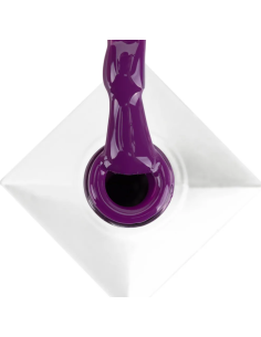 BLACKCURRANT IMPRESS 8 GRS. HEMA FREE Nº18 ML01018H						 2