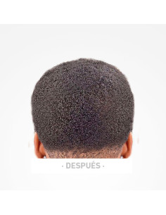 ESPONJA RIZOS PARA PELO AFRO TWIST BIFULL BFFOR43184 2