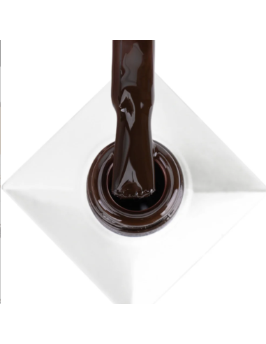 COCOA COOKIE 8 GRS. HEMA FREE Nº358  ML01358H